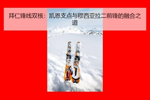 拜仁锋线双核：凯恩支点与穆西亚拉二前锋的融合之道