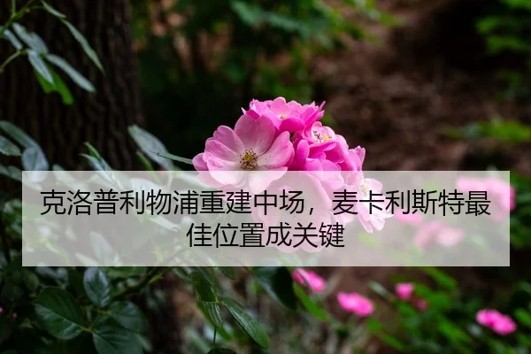 ke-luo-pu-li-wu-pu-chong-jian-zhong-chang-mai-ka-li-si-te-zui-jia-wei-zhi-cheng-guan-jian-3-692.jpg