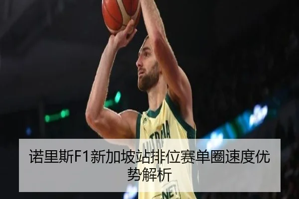nuo-li-si-xin-jia-po-zhan-pai-wei-sai-dan-quan-su-du-you-shi-jie-xi-3-976.jpg