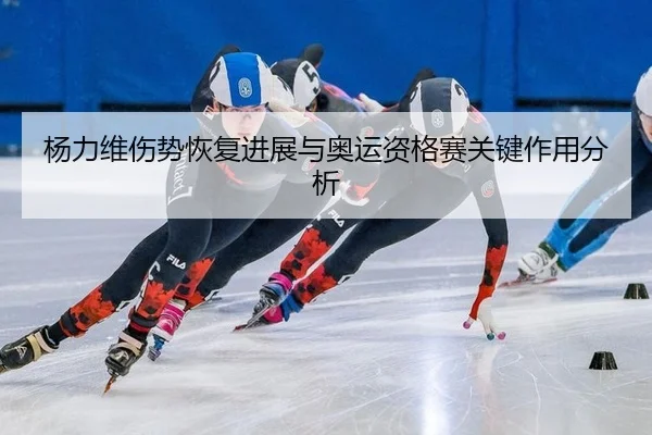 杨力维伤势恢复进展与奥运资格赛关键作用分析