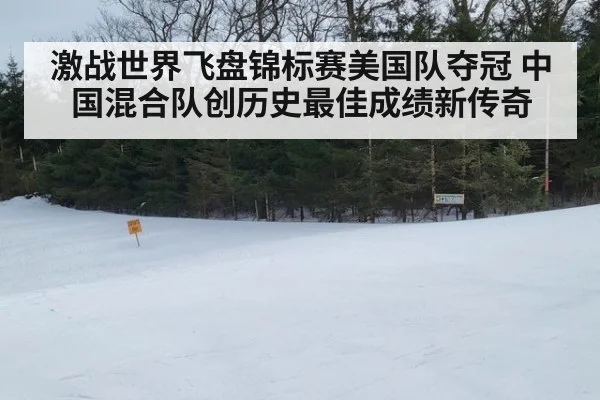 激战世界飞盘锦标赛美国队夺冠 中国混合队创历史最佳成绩新传奇
